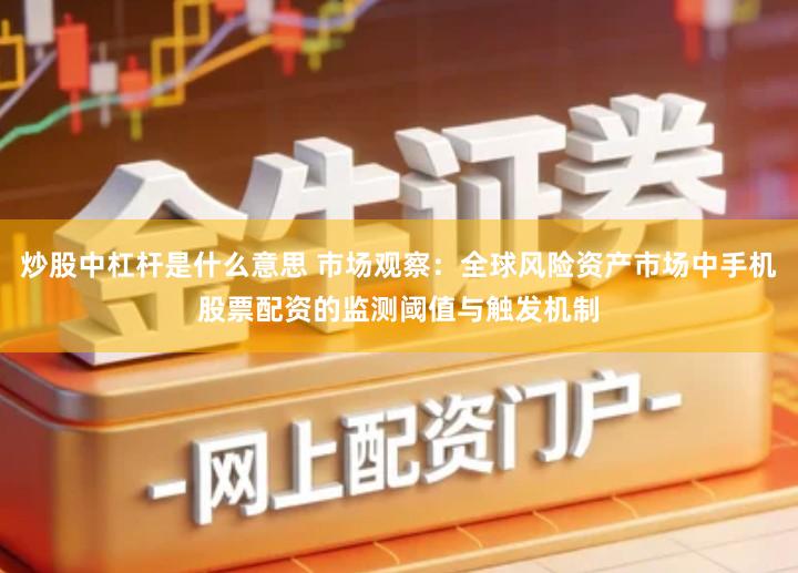 炒股中杠杆是什么意思 市场观察：全球风险资产市场中手机股票配资的监测阈值与触发机制